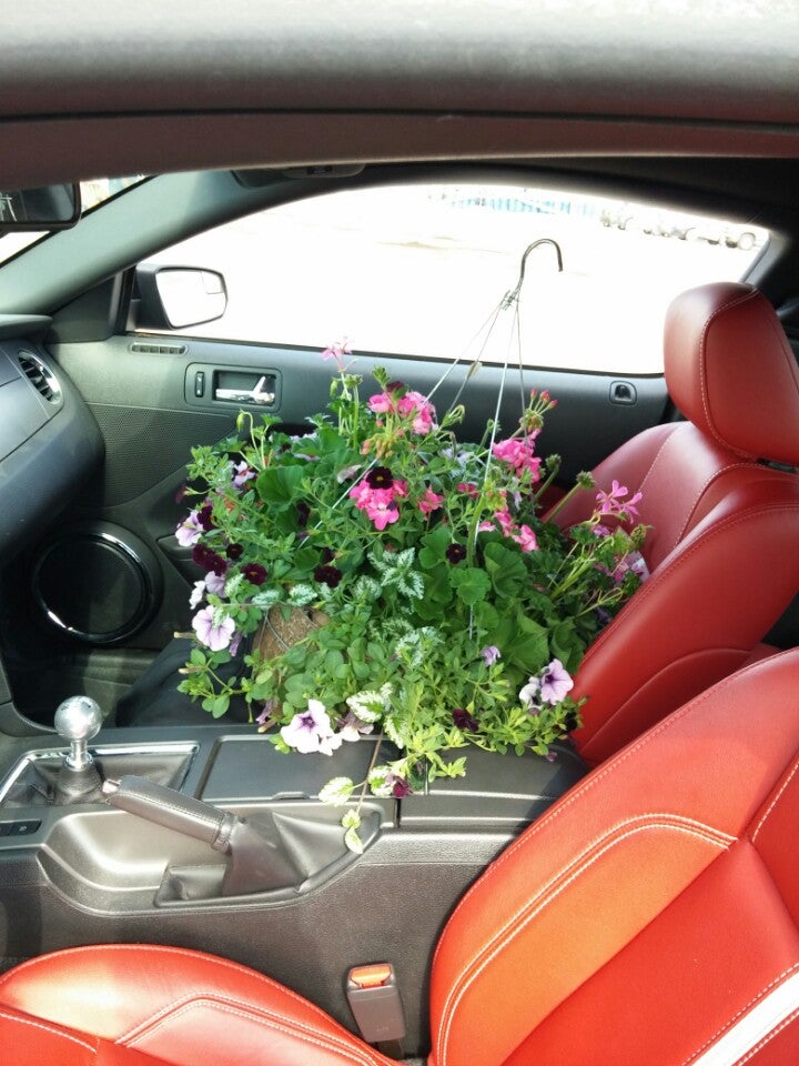 Bradford Greenhouses - Garden Gallery