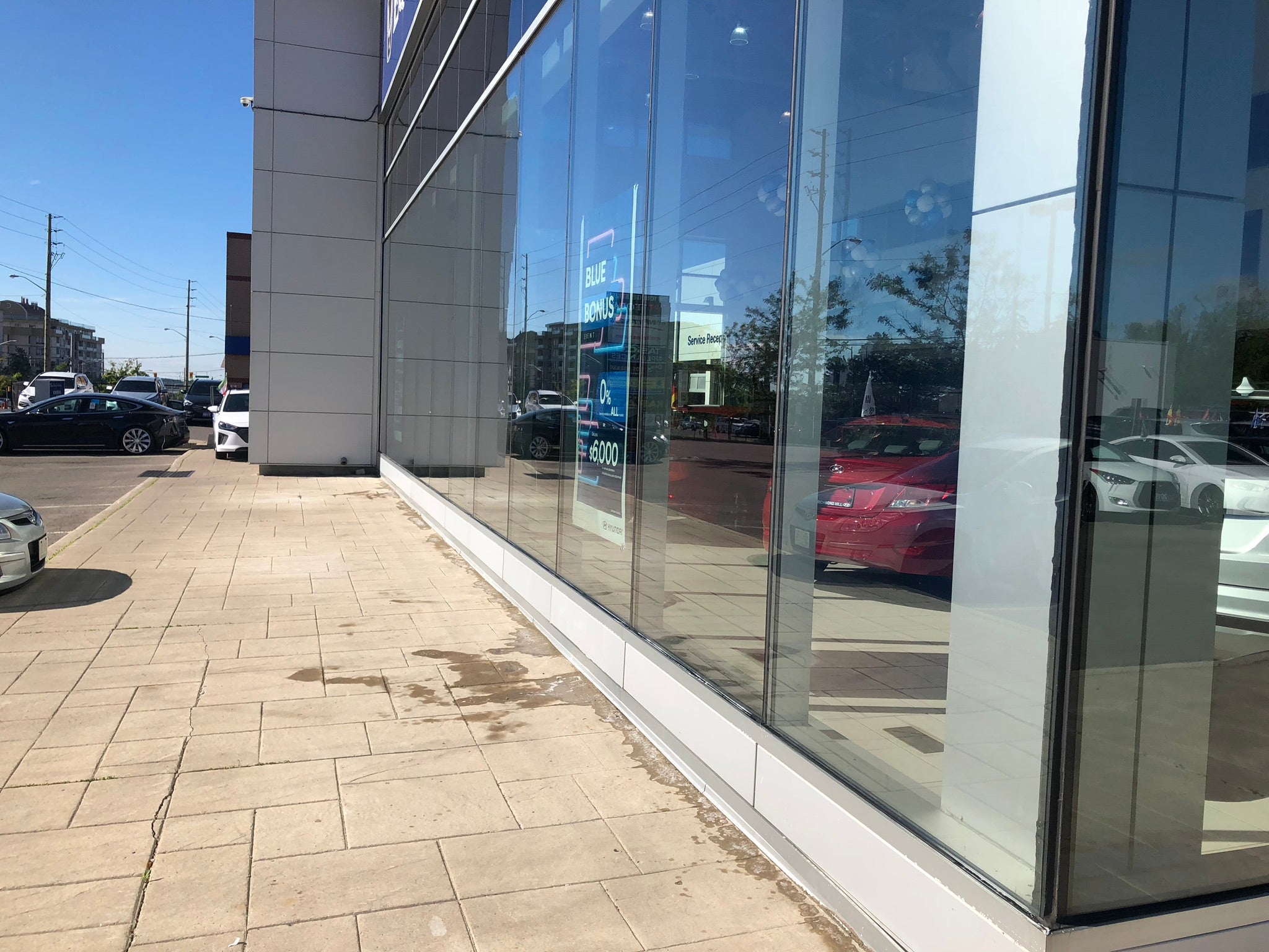 Proclean Window Cleaning