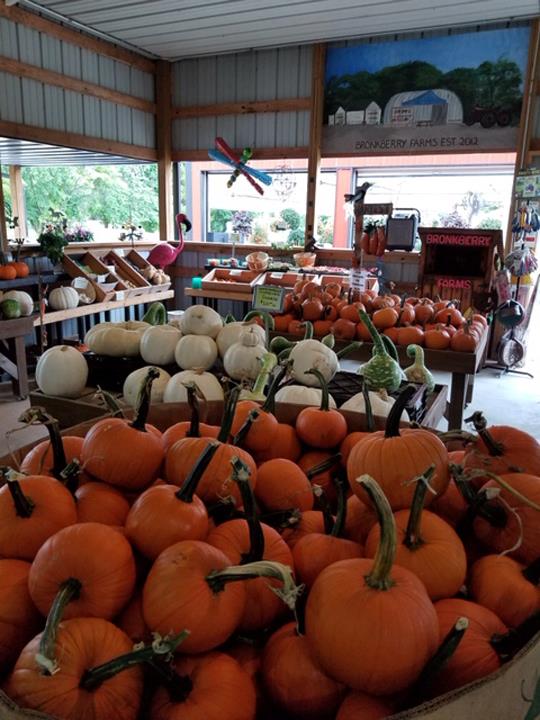 Bronkberry Farms, 18061 S Bronk Rd, Plainfield, IL, Farm Markets MapQuest