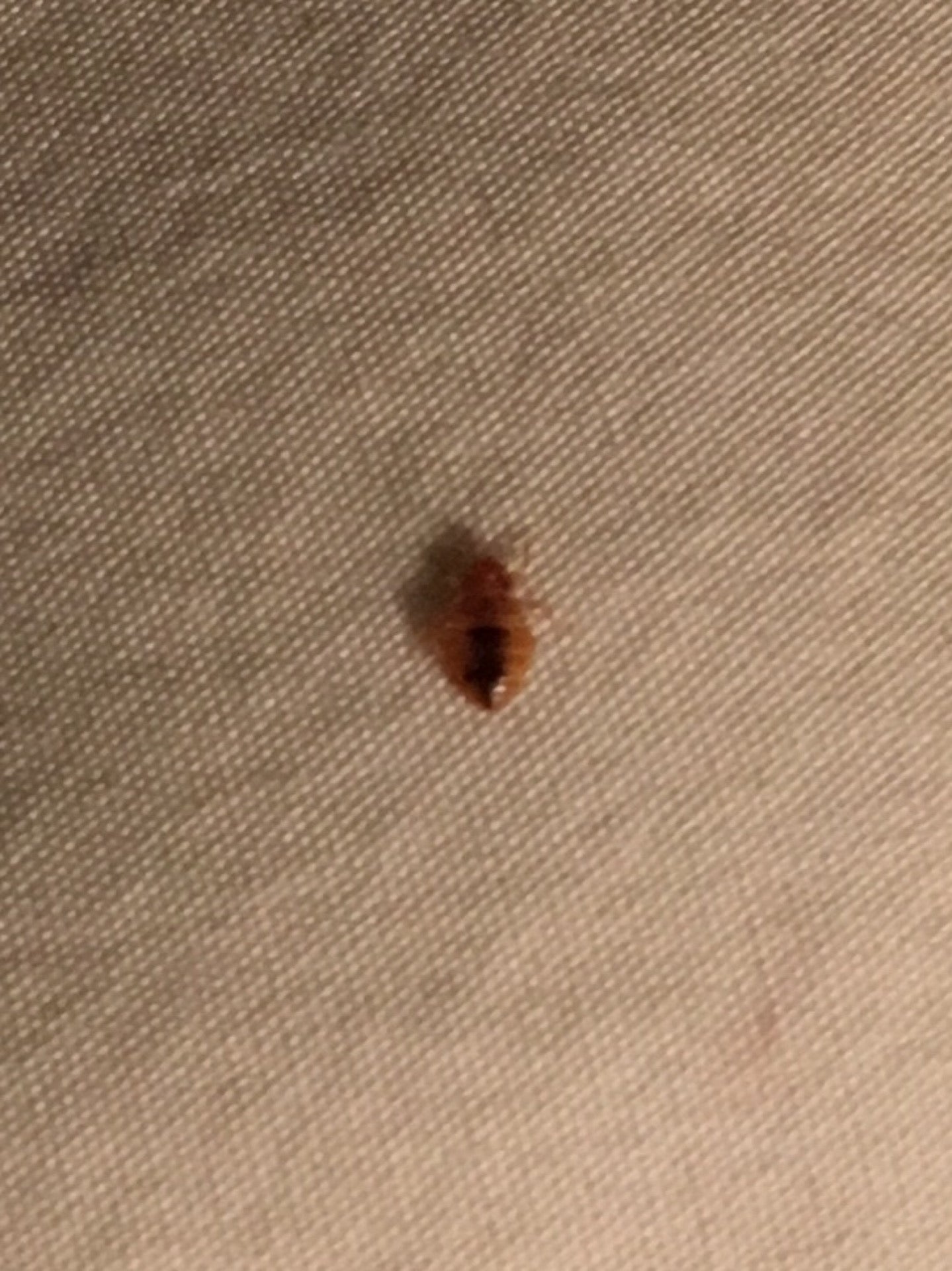 Littleton, CO Map & Directions MapQuest