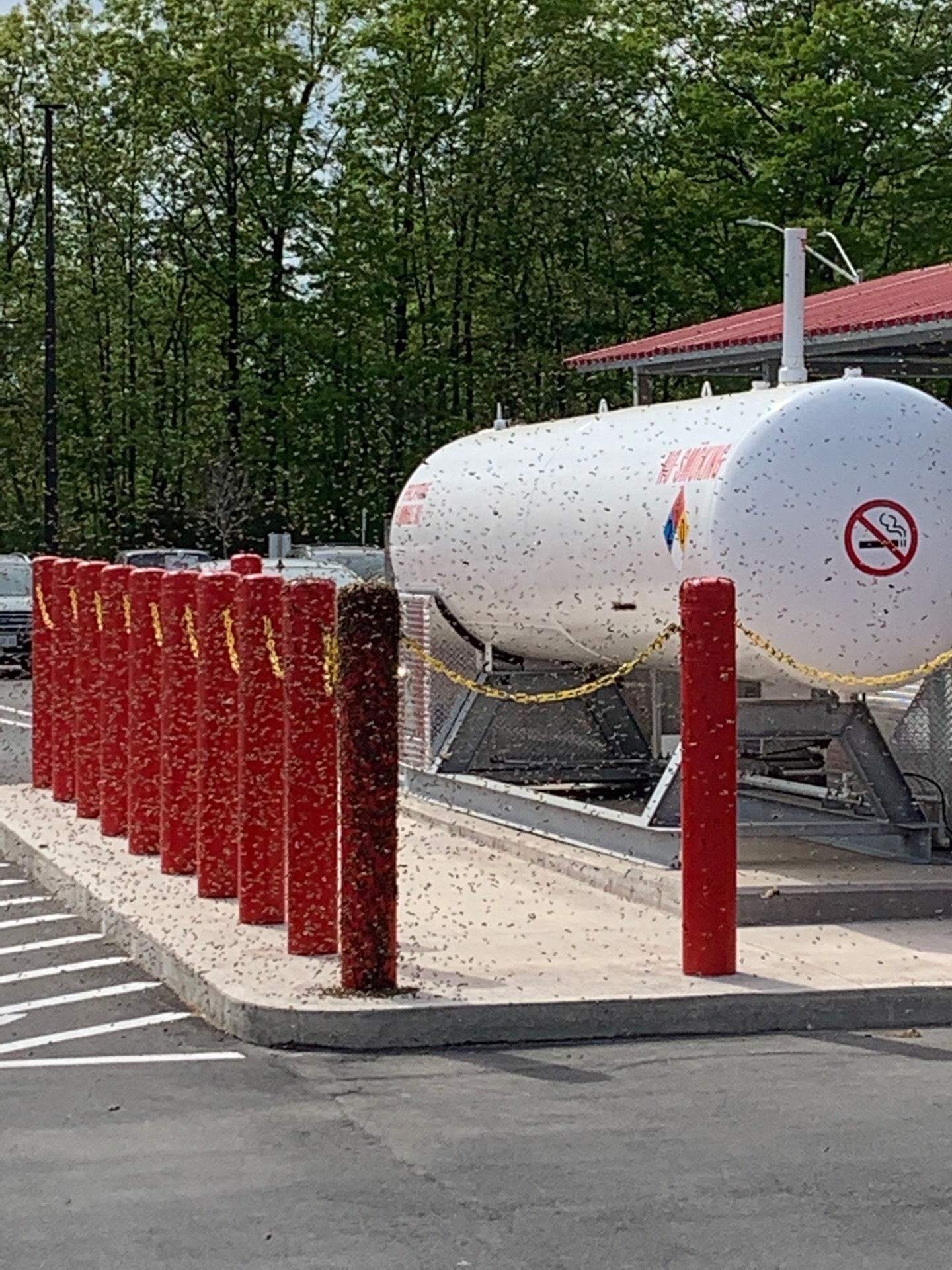 Costco Wholesale, 7500 Pin Oak Dr, Niagara Falls, ON, Wholesalers