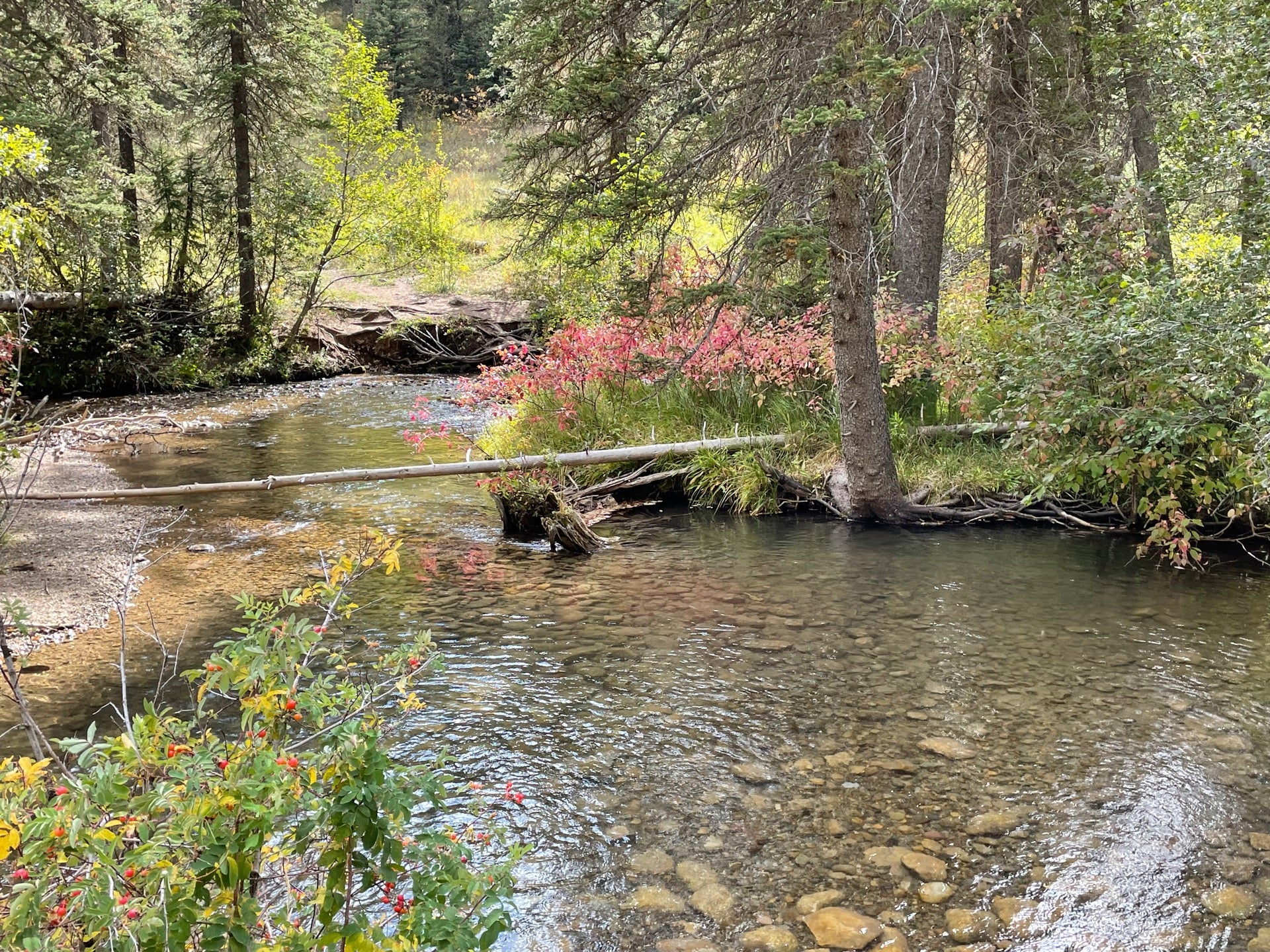bridger-teton-national-forest-forest-supervisor-s-office-n-cache-st