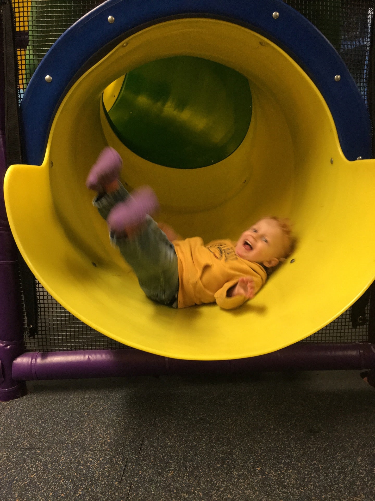 Bronto's Adventure Playland