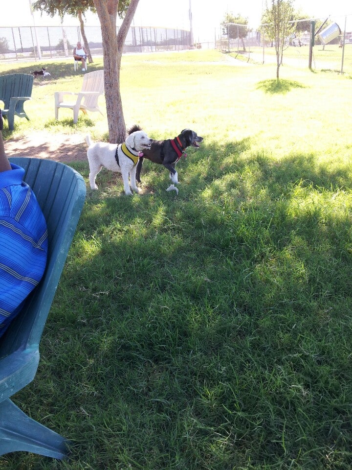Rose Mofford Dog Park, 9625 N 25th Pl, Phoenix, AZ, Parks MapQuest