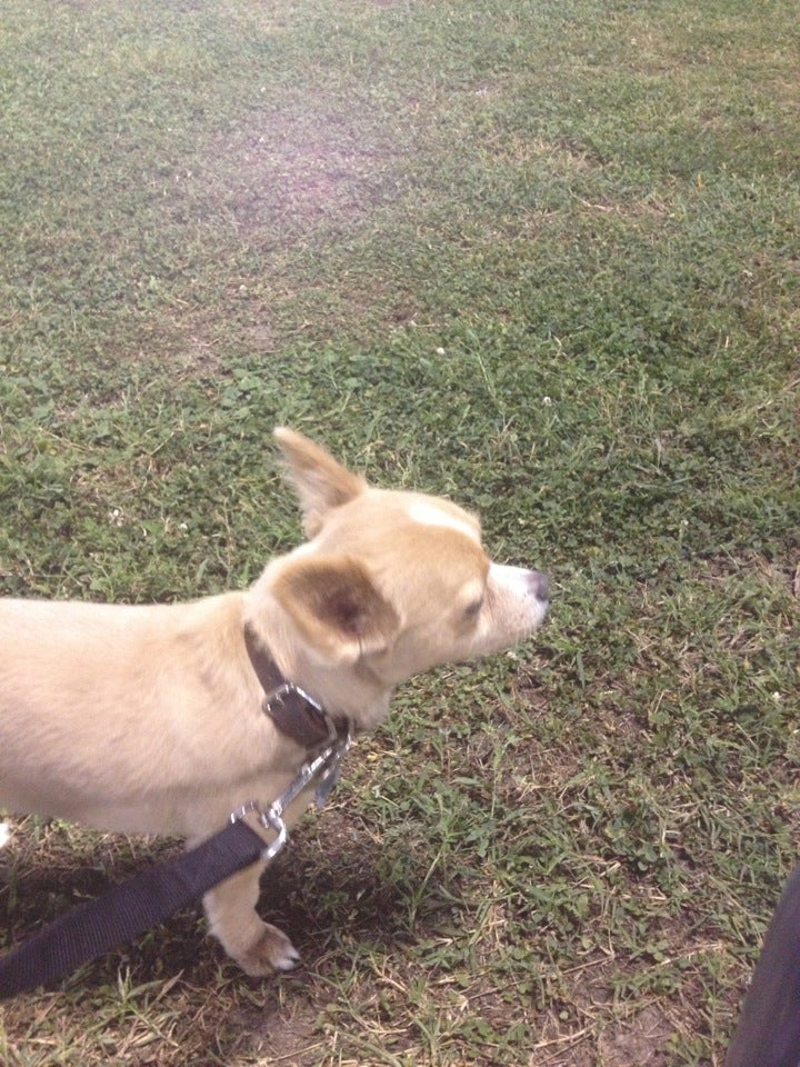 Baytown Soccer Complex, Baytown, TX MapQuest