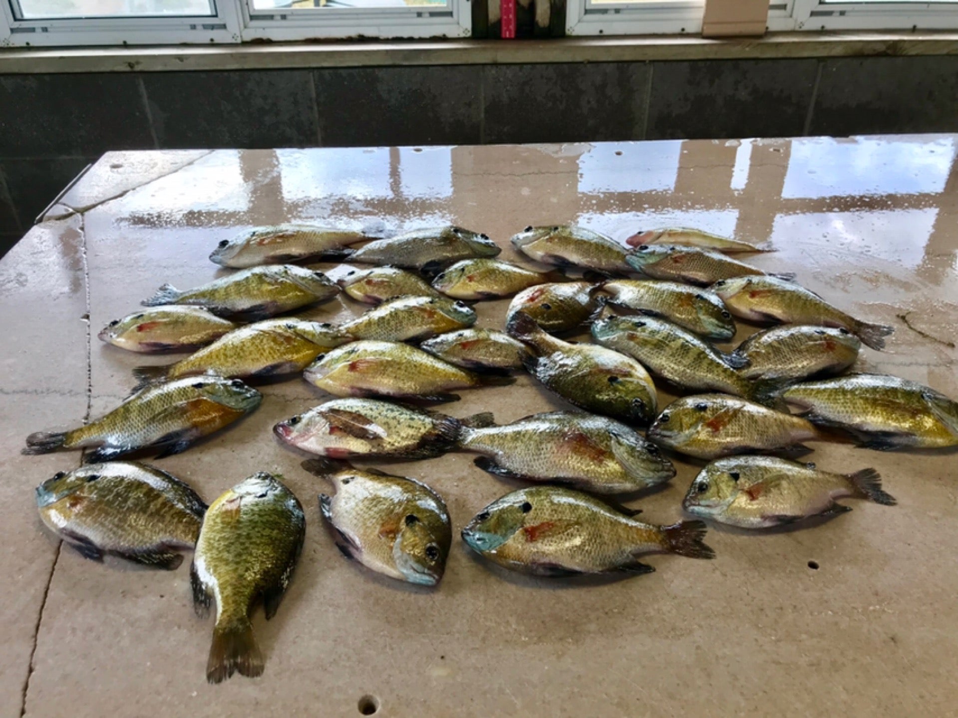 Northern Exposure Resort & Campground, 1075 24 1/4 St, Chetek, Town of