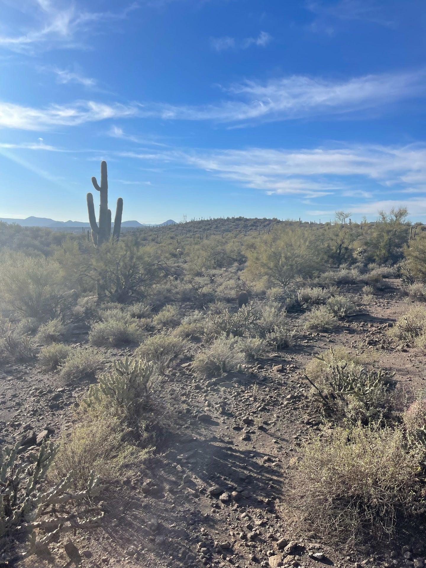 New River Kiwanis Park, N 17th Ave, New River, AZ, Parks MapQuest