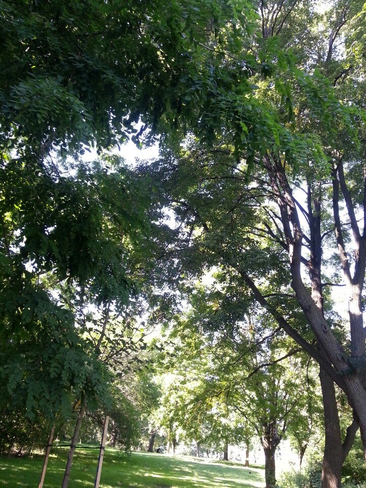 Tommy Flynn Playground