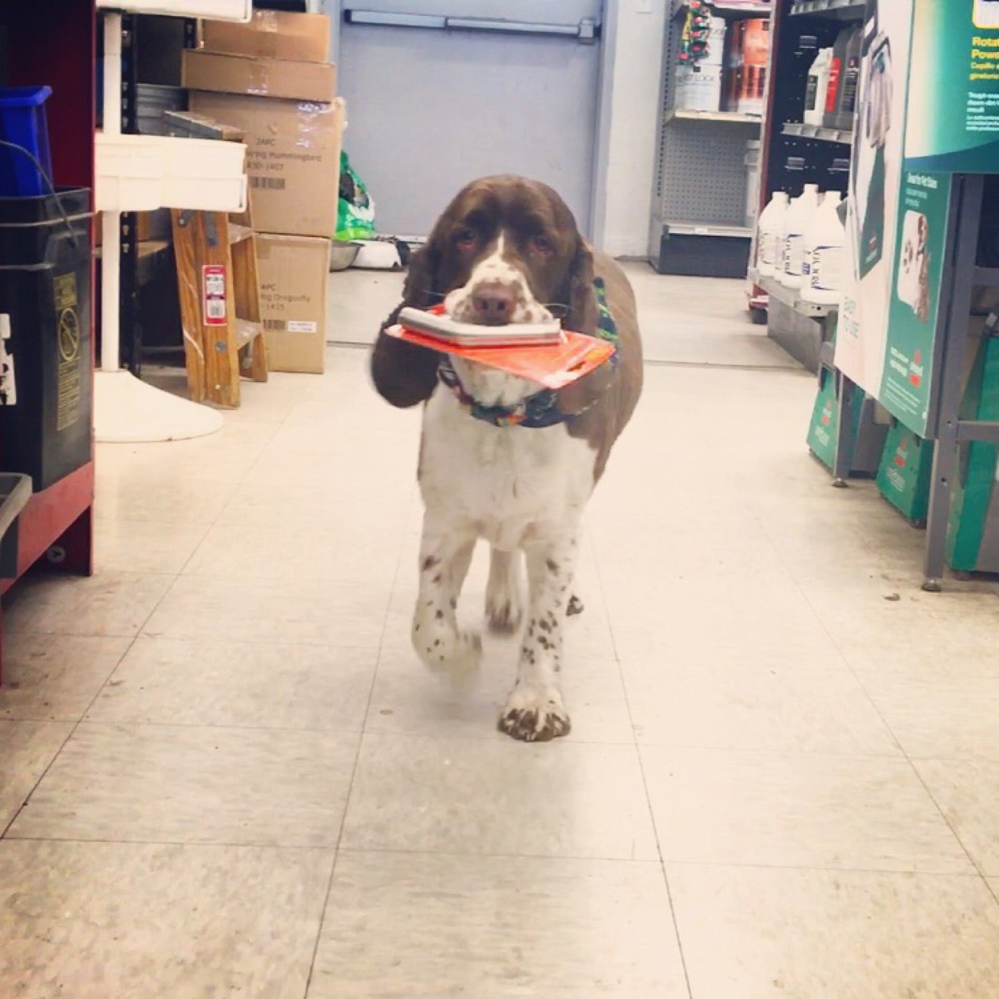 Otis Orchards Hardware, 4904 N Harvard Rd, Otis Orchards, WA MapQuest