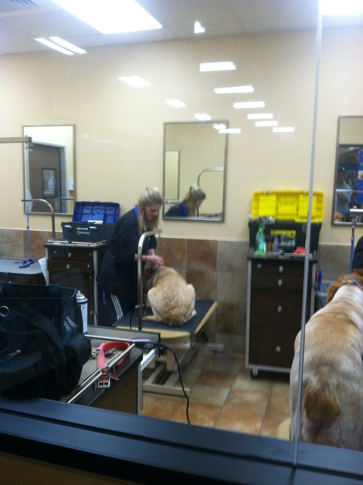 Petsmart grooming salon phone hot sale number