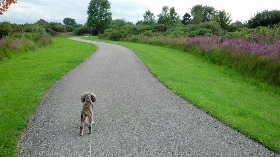 Gasport, NY Map & Directions MapQuest