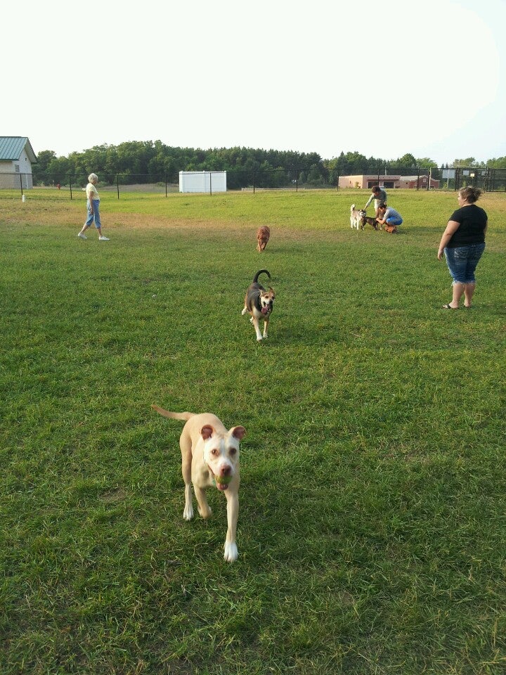Silver Lake Dog Park, Traverse City, MI, Parks MapQuest