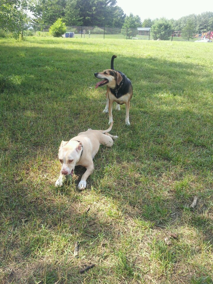 Silver Lake Dog Park, Traverse City, MI, Parks MapQuest