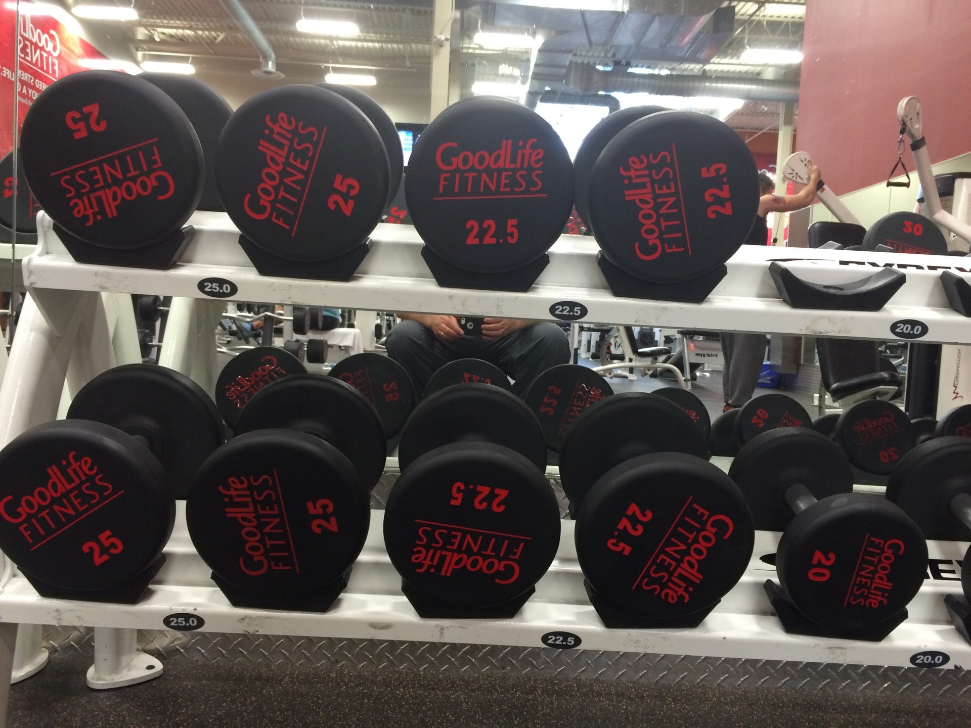 Goodlife fitness online loblaws