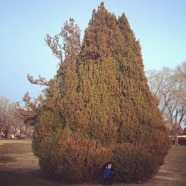 Altura Park Tennis Court, 4100 Ave NE, Albuquerque, NM, Parks