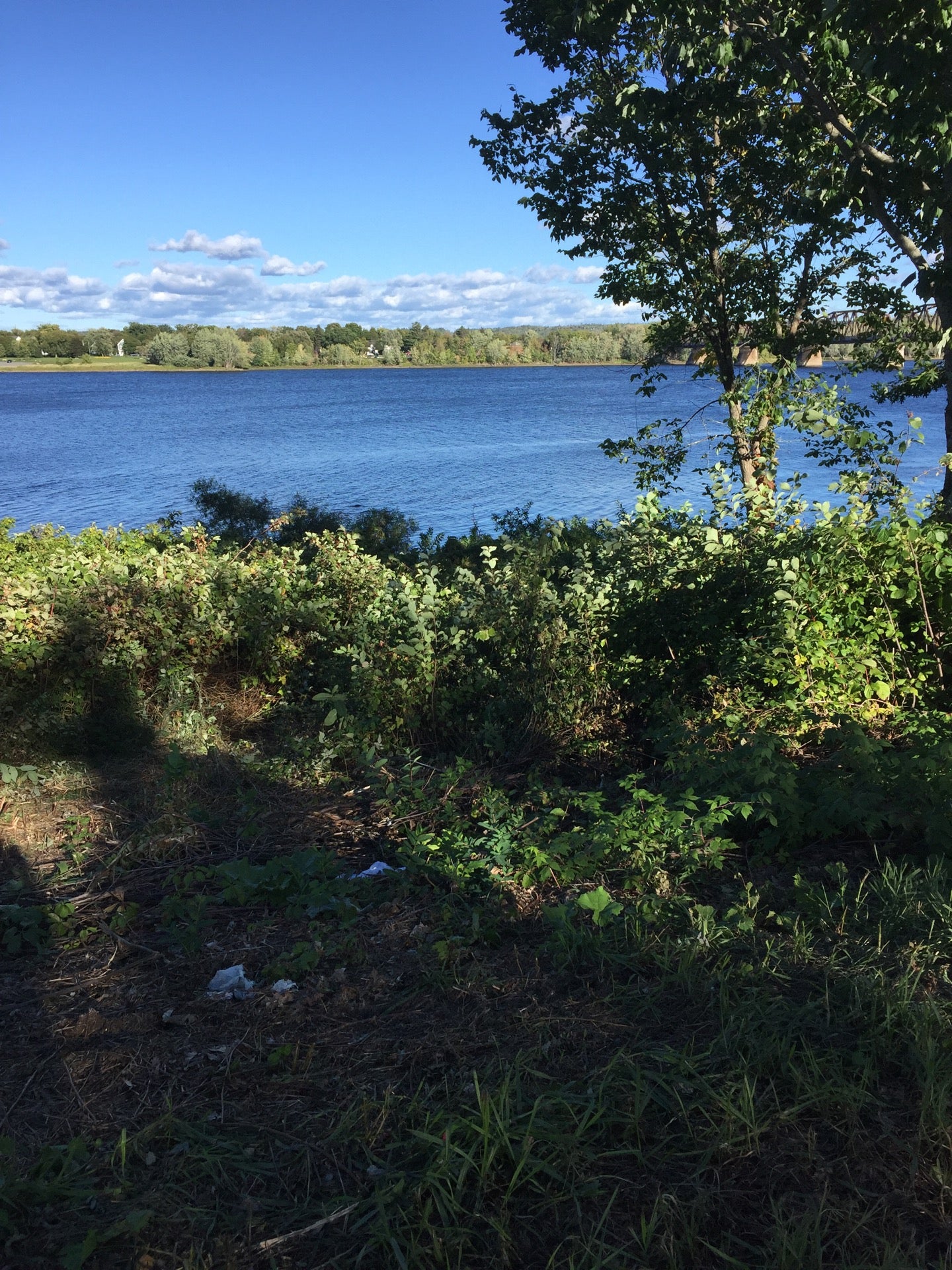 Fredericton Waterfront, Queen St, Fredericton, NB MapQuest