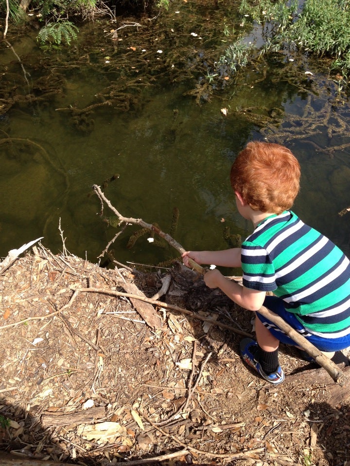 Lost Creek Swimming Hole, Austin, TX, Lake MapQuest