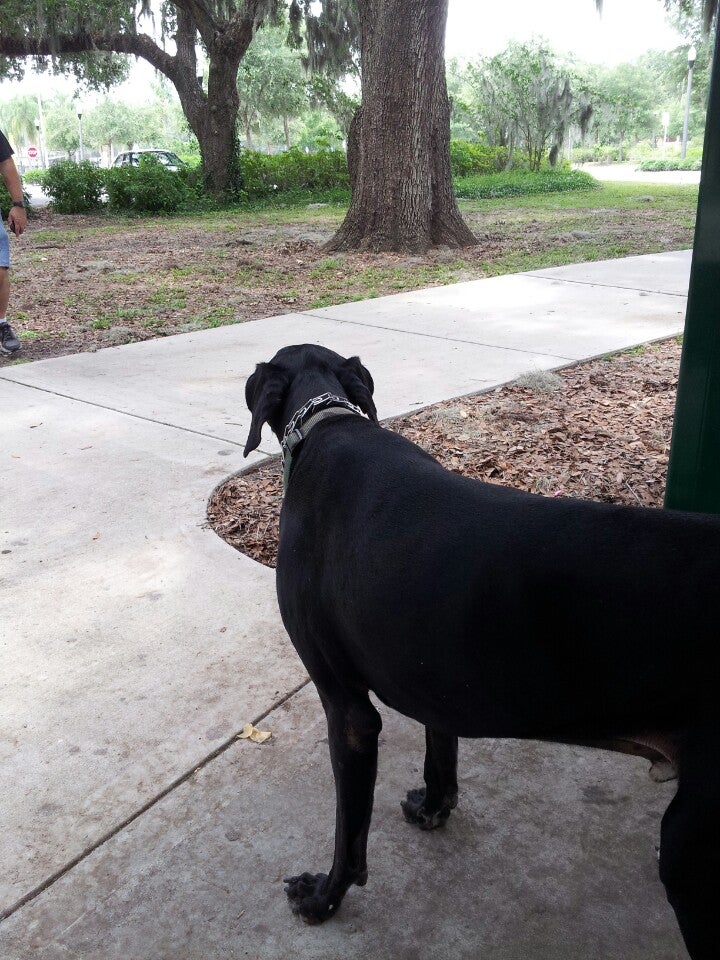 Christina Park Playground, 625 W County Road 540A, Lakeland, FL