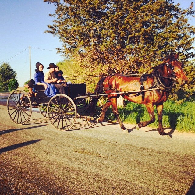 Rose Lake, Coldwater, MI MapQuest