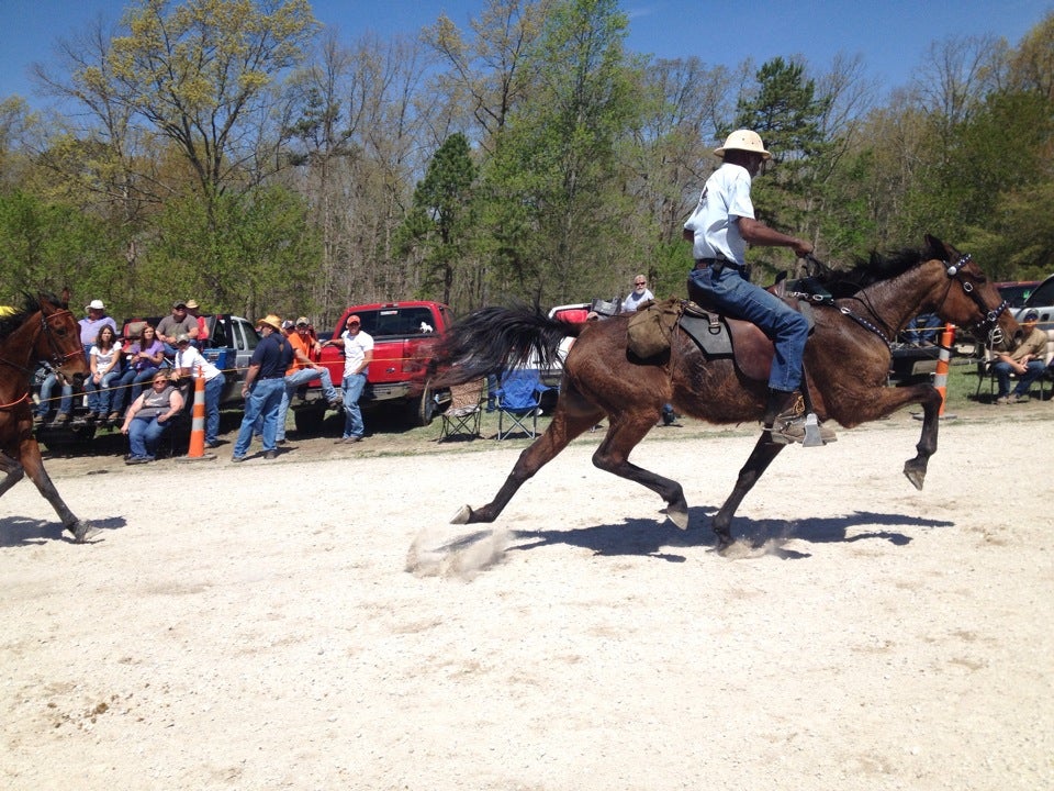 Clarkrange, TN Map & Directions MapQuest