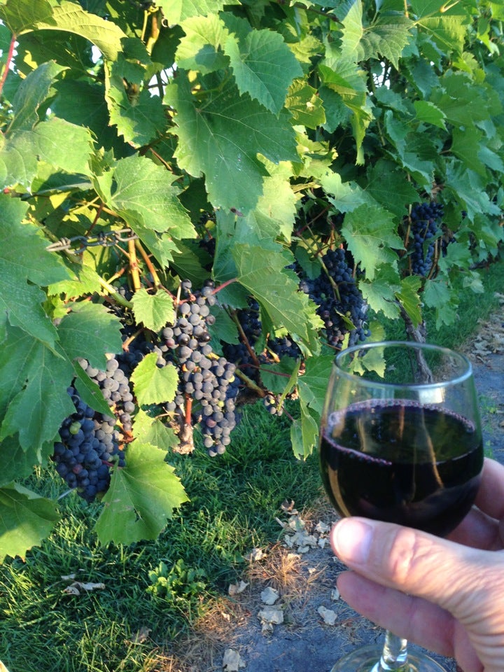 Renville, MN Map & Directions MapQuest