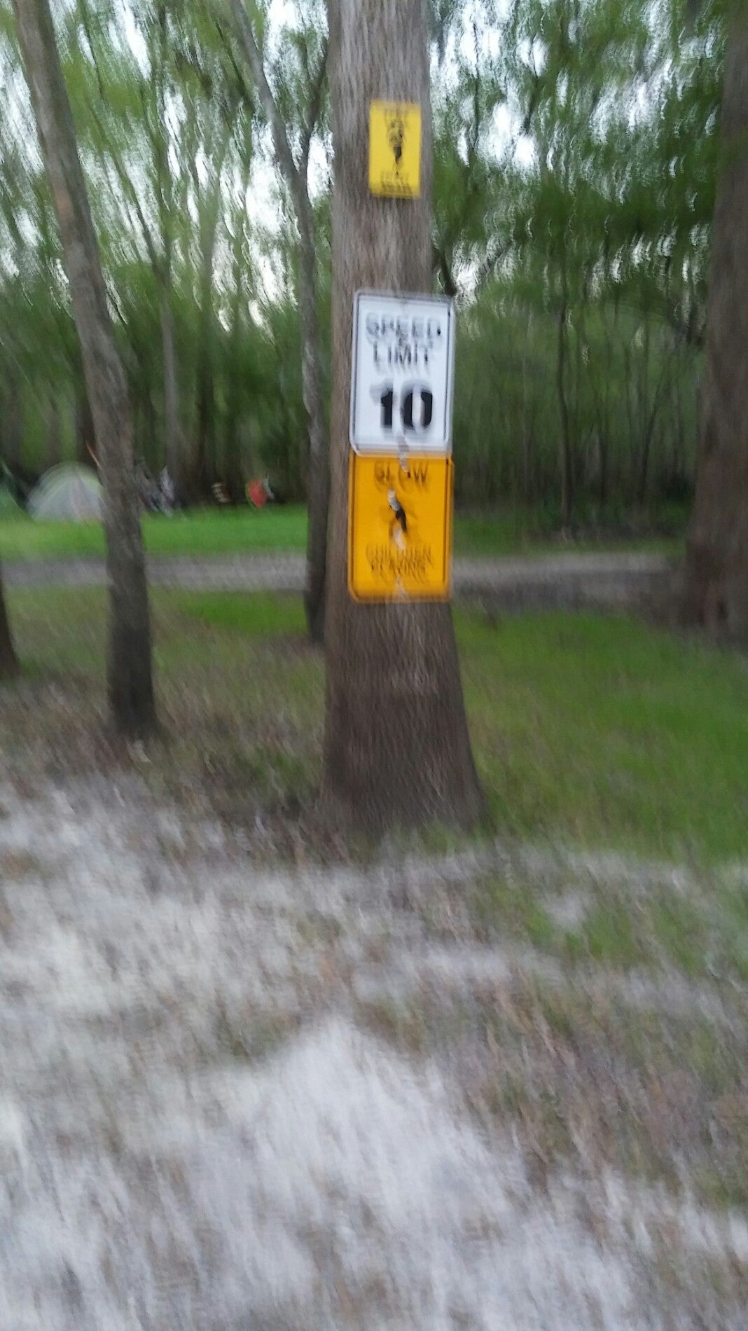 Ginnie Springs Outdoors Campground Site 79, 5000 NE 60th Ave, High Springs, FL, Campgrounds