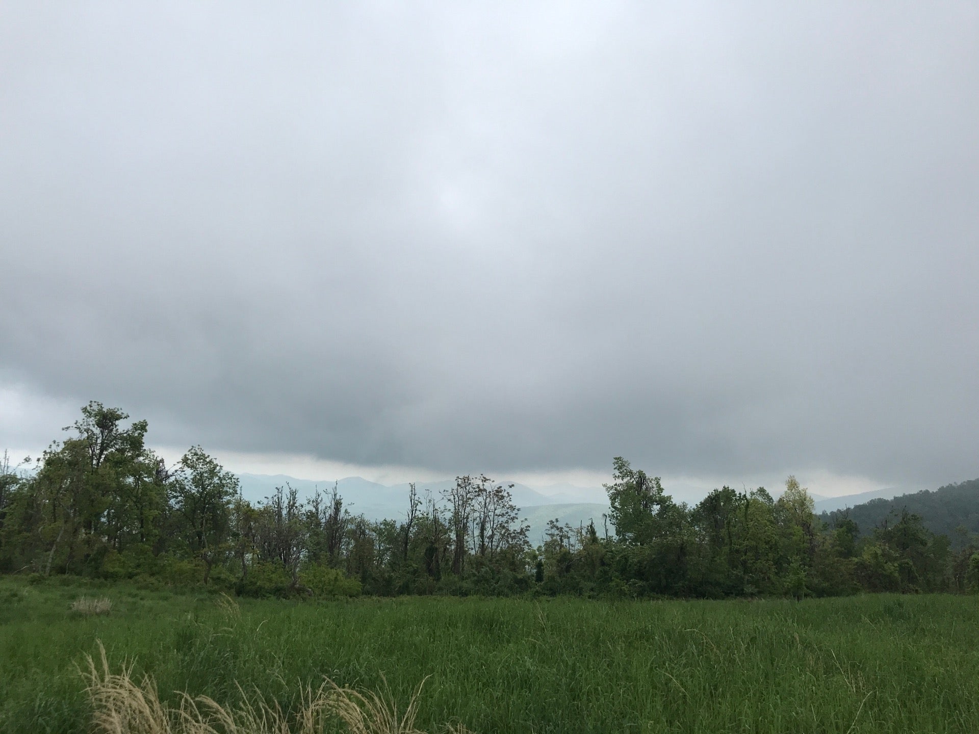 Rockfish Valley Parking Overlook Blue Ridge Parkway, Afton, VA