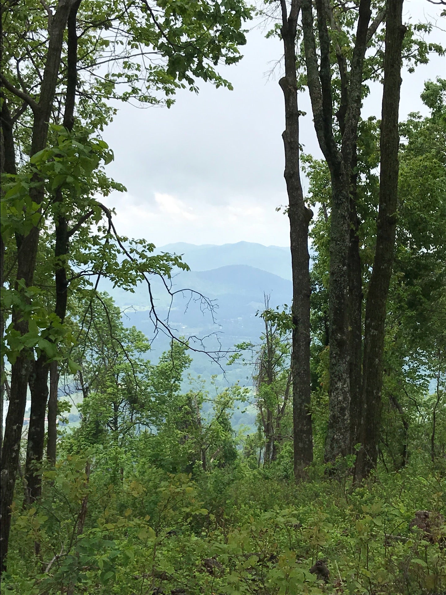 Rockfish Valley Parking Overlook Blue Ridge Parkway, Afton, VA, Landmark MapQuest