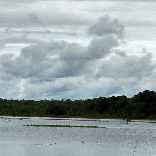 Lake Wallace, Jefferson St, SC, Lake MapQuest