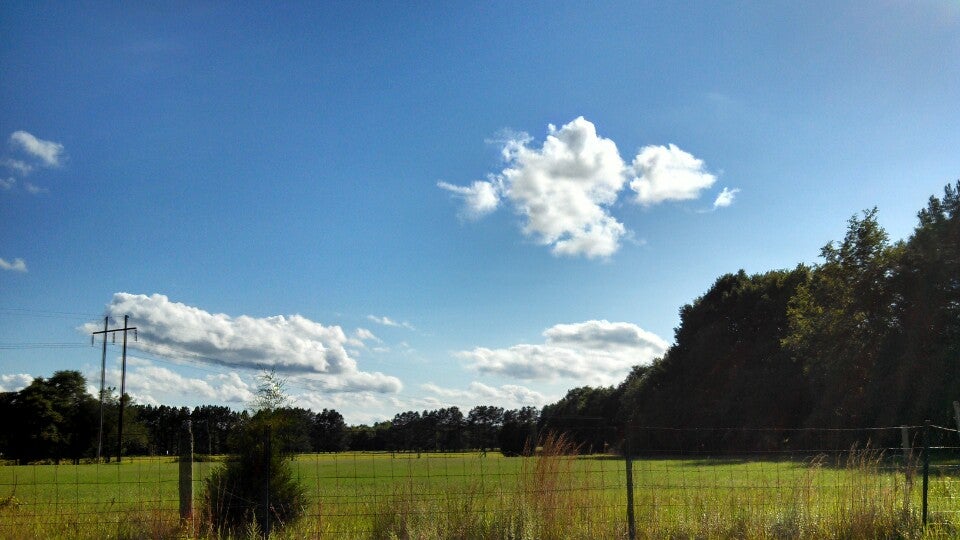 Lake Wallace, Jefferson St, SC, Lake MapQuest