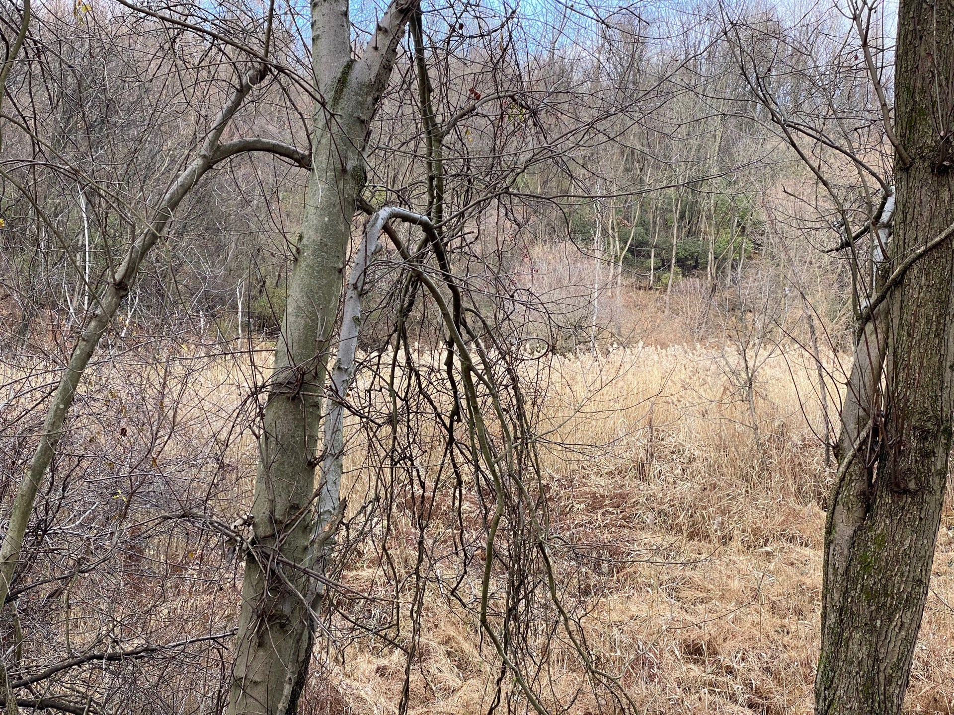 East Branch Brandywine Trail, Downingtown, PA, Trail MapQuest