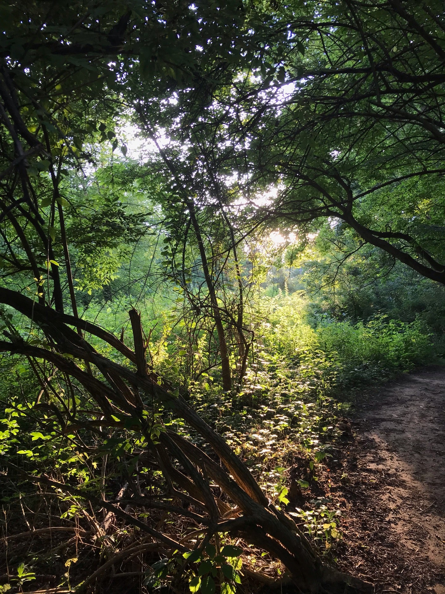 East Branch Brandywine Trail, Downingtown, PA, Trail MapQuest