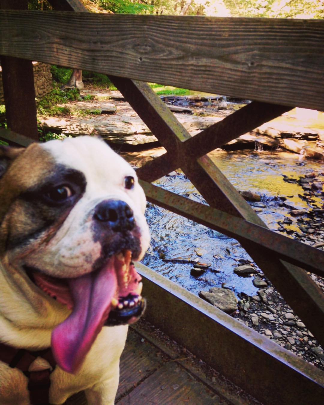 Wolf Creek Parking Lot, Park Rd, Castile, Town of, NY, Sports MapQuest