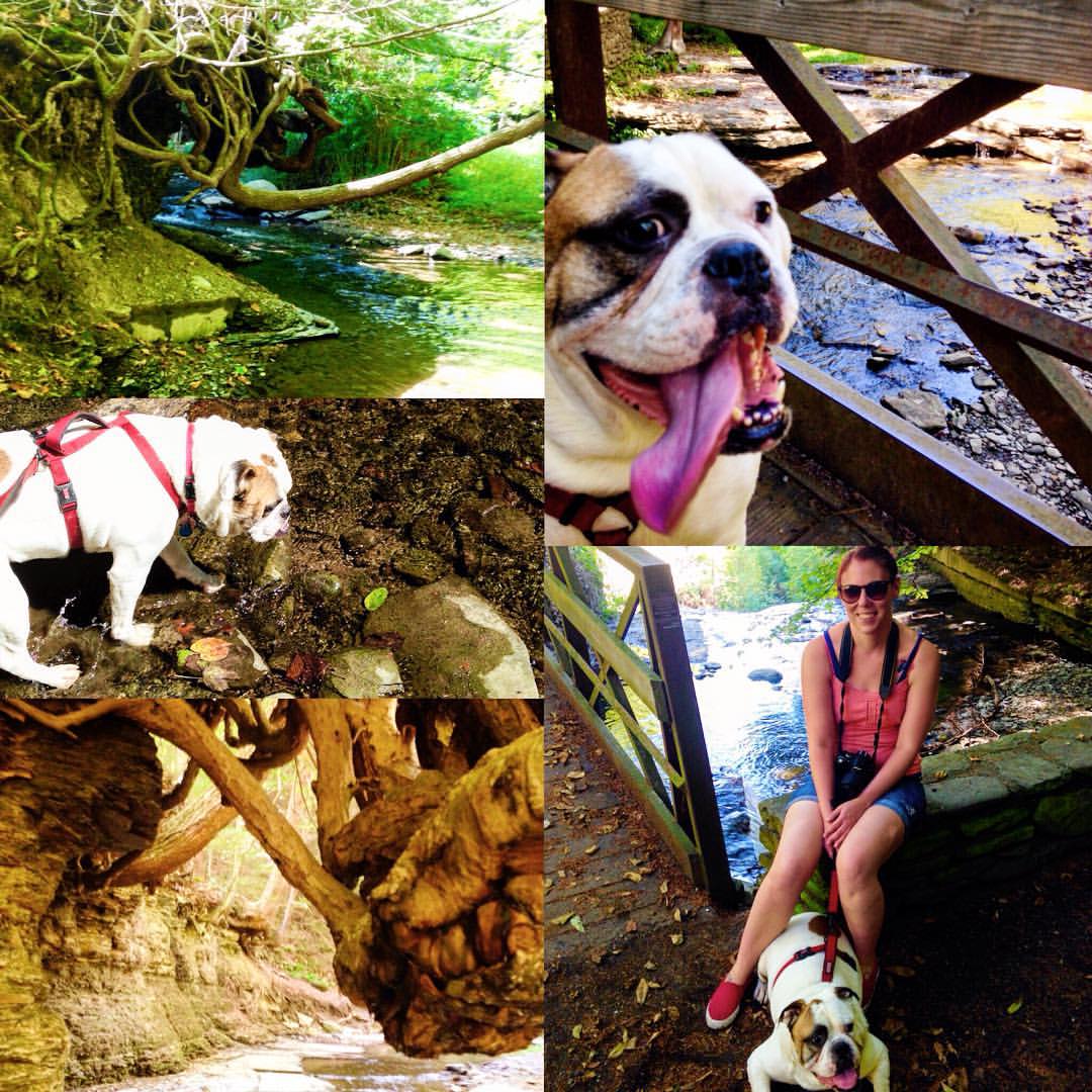 Wolf Creek Parking Lot, Park Rd, Castile, Town of, NY, Sports MapQuest