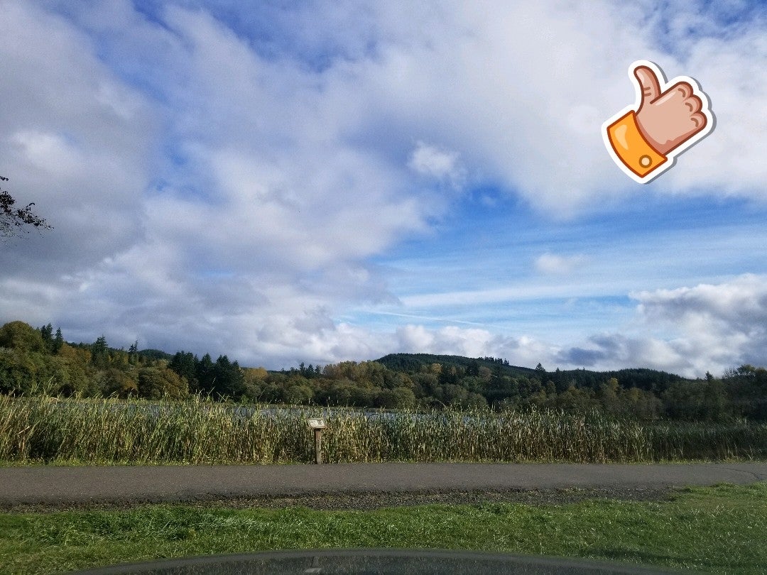 Vernonia Lake City Pond, E Bridge St, Vernonia, OR, Lake MapQuest