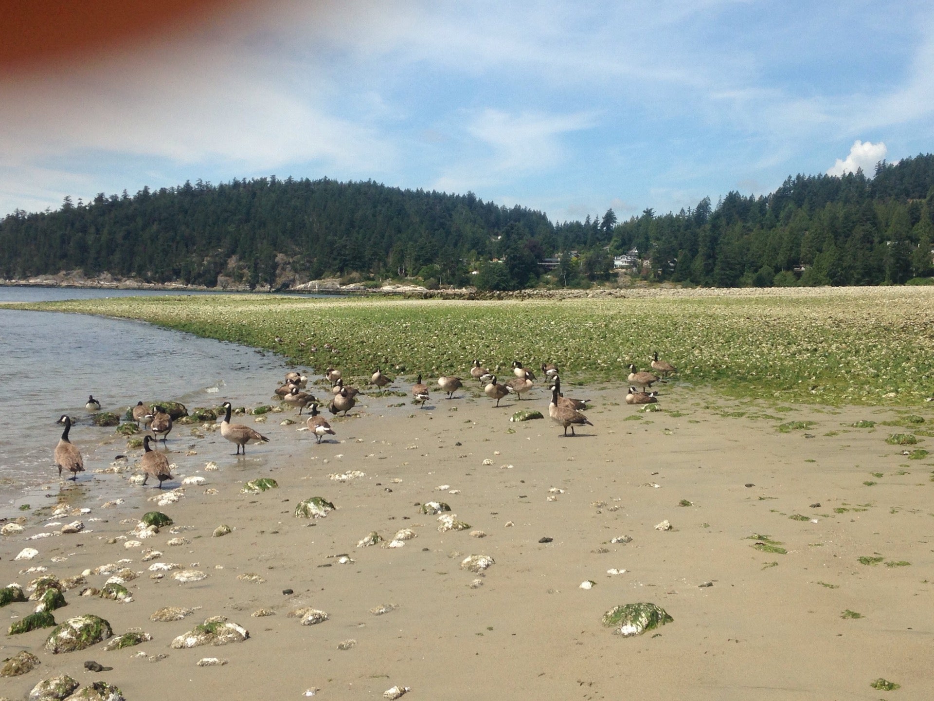 Erwin Park, Erwin Dr, West Vancouver, BC MapQuest