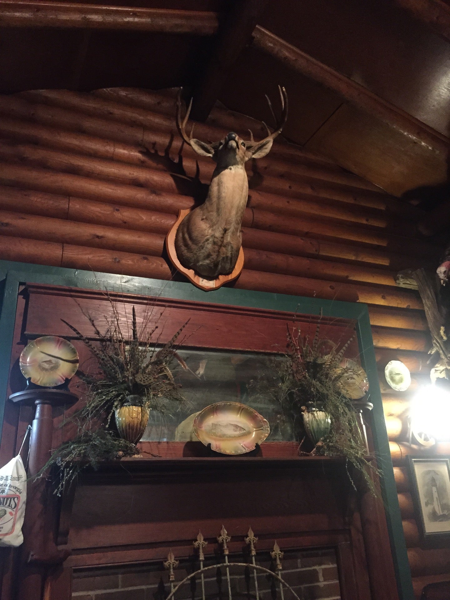 Log Cabin Restaurant, 2619 Lower River Rd, Blakely, GA, Steak