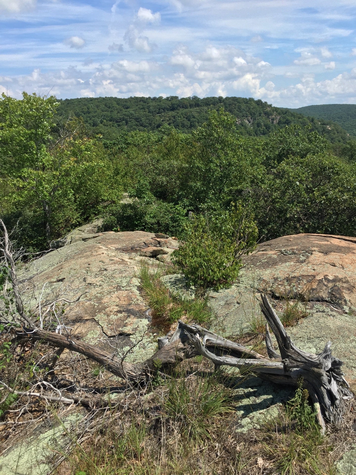 Intersection Of Reeves Brook And Seven Hills Trails, Hillburn, NY