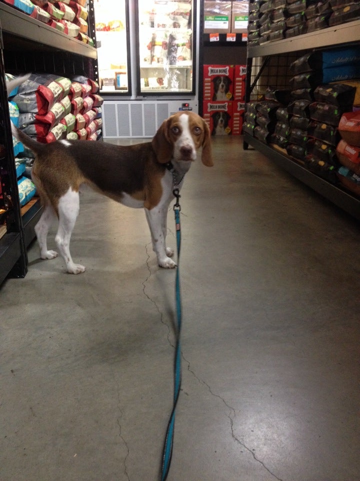 Tisol Pet Nutrition & Supply Stores, 2738 Arbutus St, Vancouver, BC