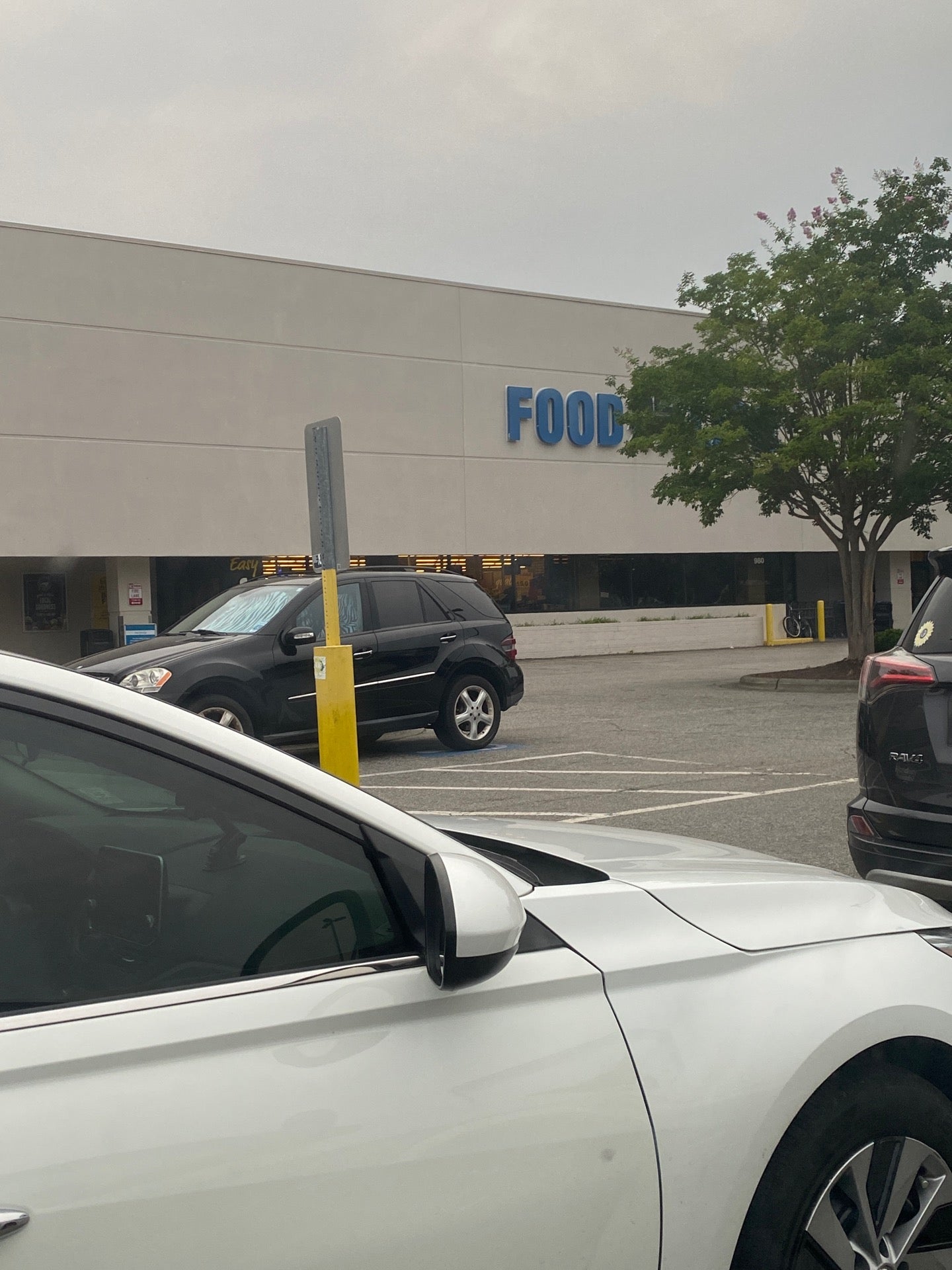 Food Lion, 980 Kildaire Farm Rd, Cary, NC, Grocery Stores MapQuest