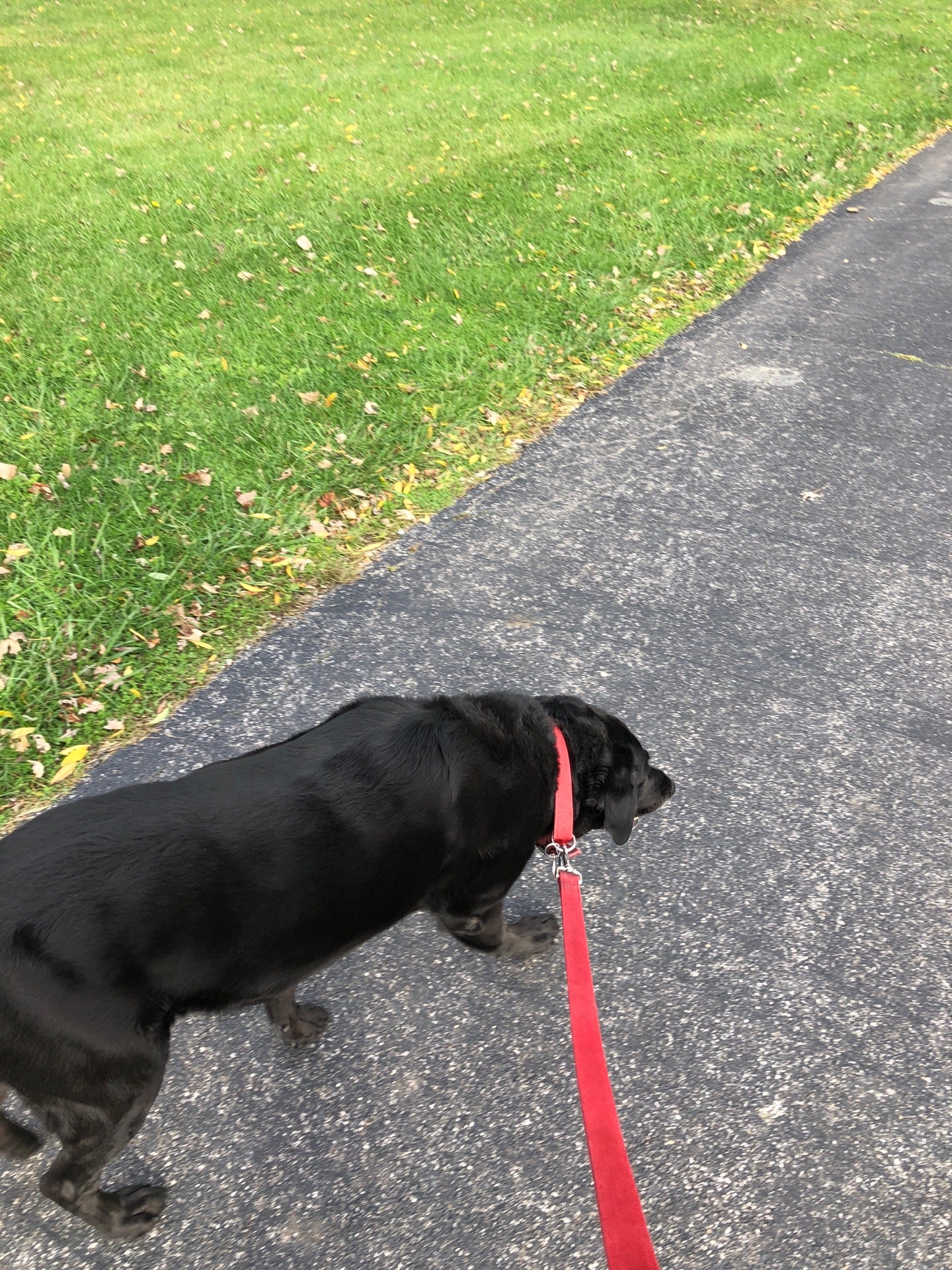 Winfield, IN Map & Directions MapQuest