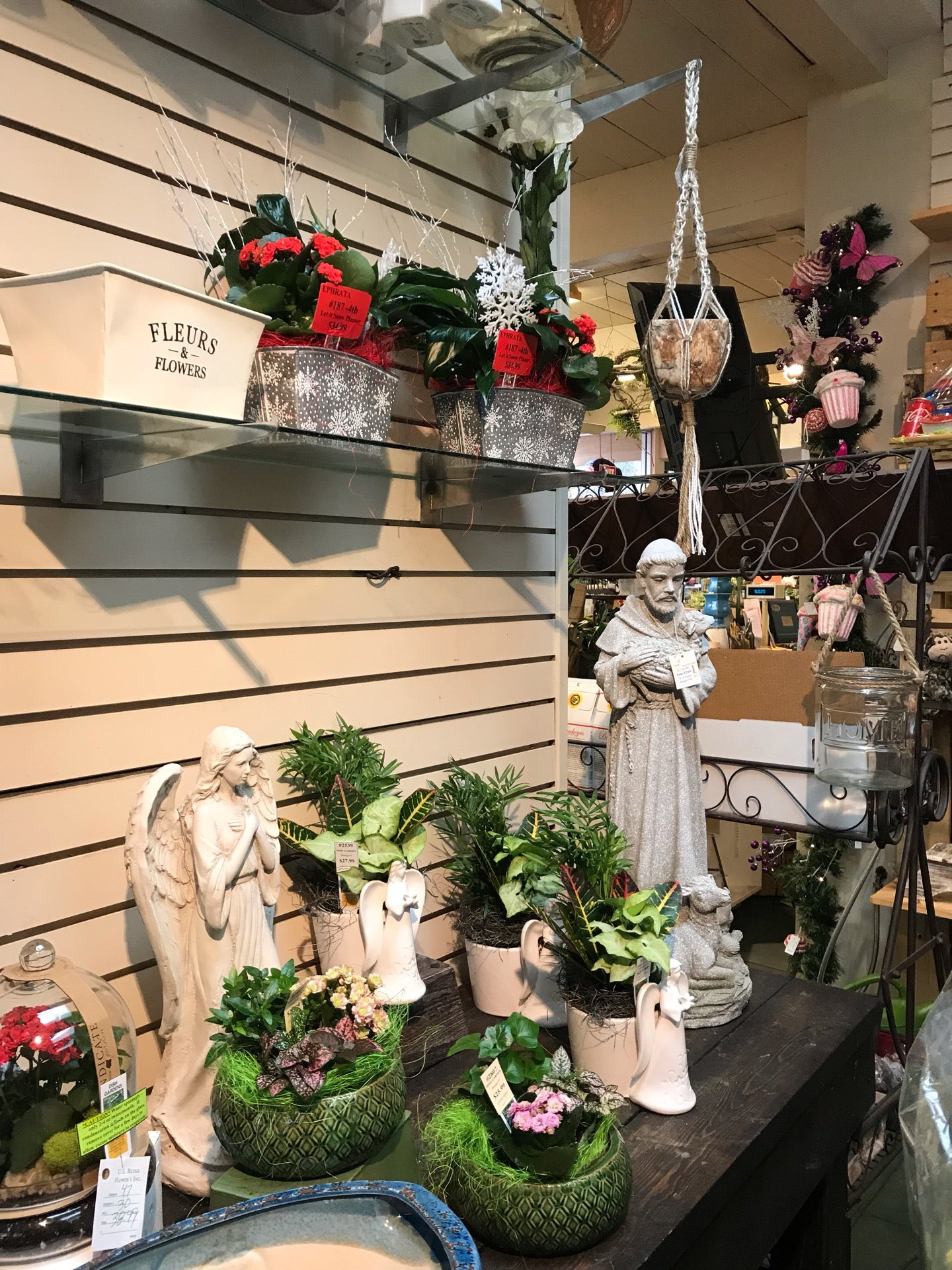 Ephrata Royers Flowers Best Flower Site