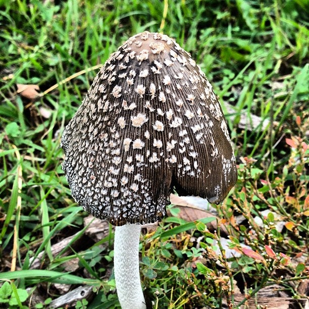 Bridgeton, MO Map & Directions MapQuest