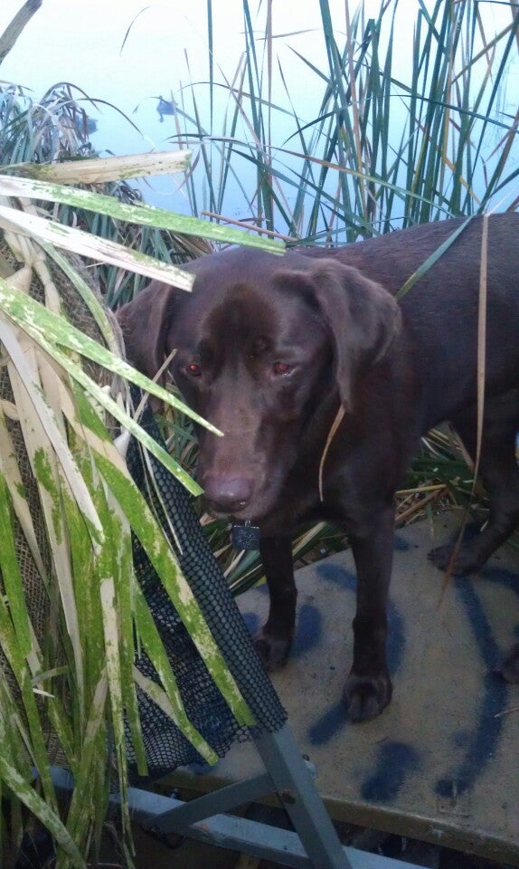 Big Muskego Lake, Muskego, WI MapQuest