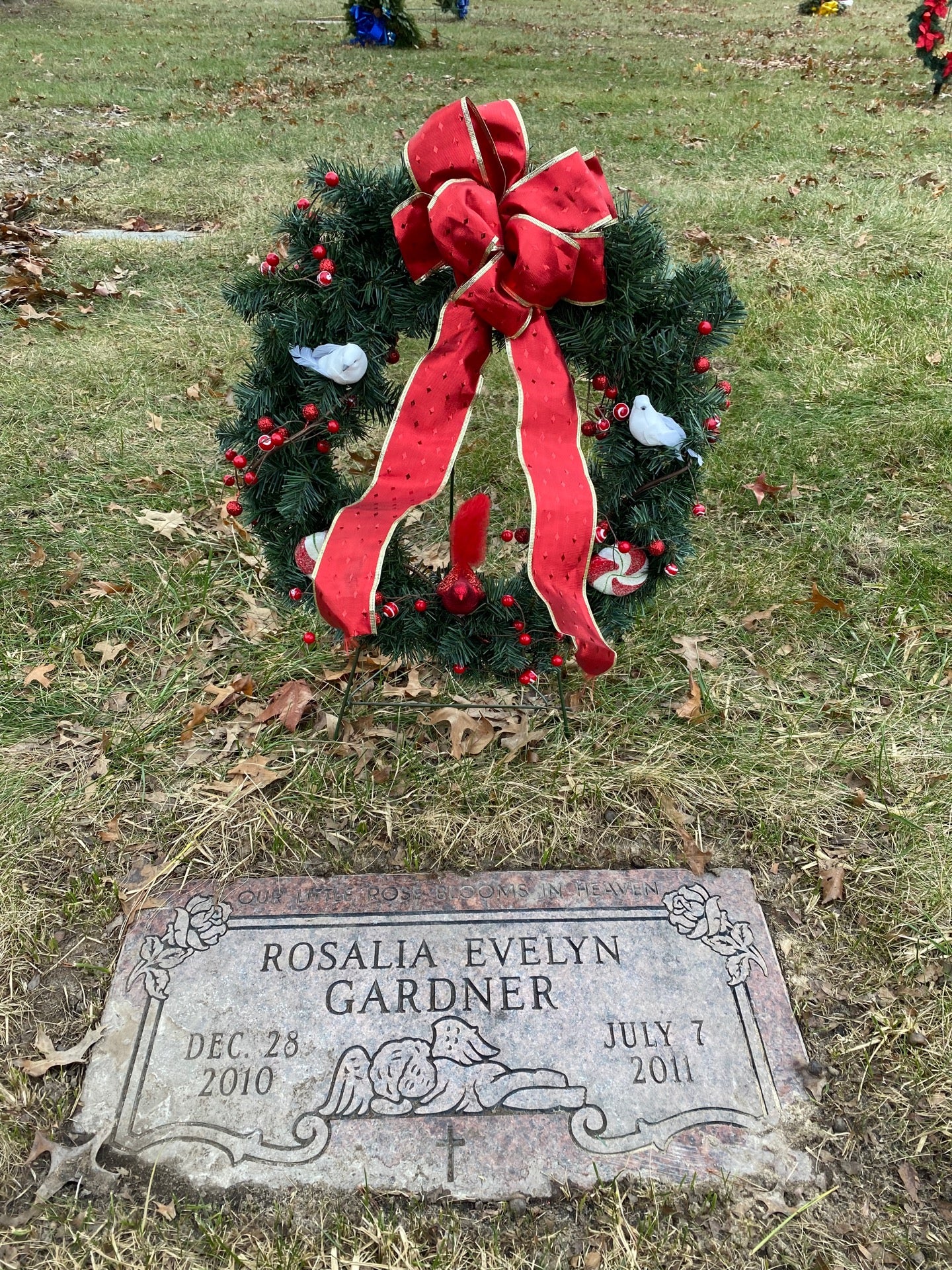 Our Lady of Hope Catholic Cemetery, 18303 Allen Rd, Brownstown, MI