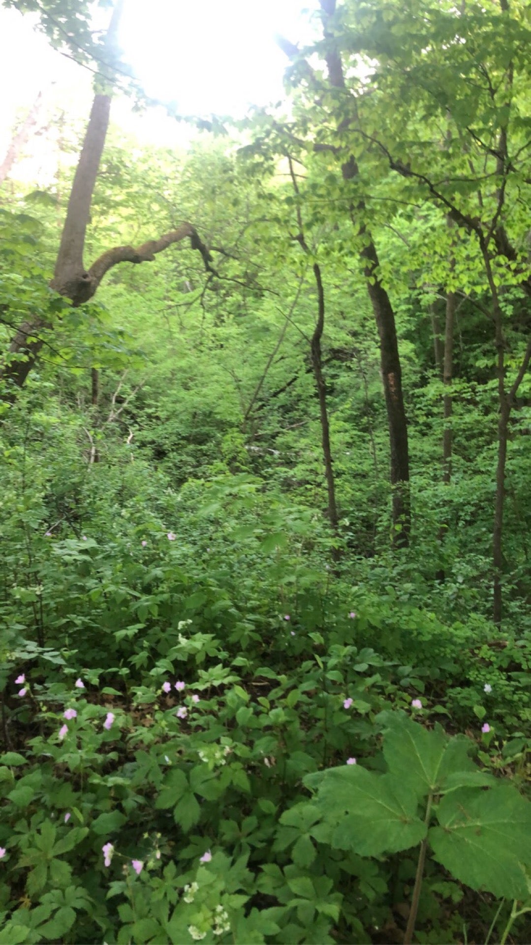 Cudahy, WI Map & Directions MapQuest