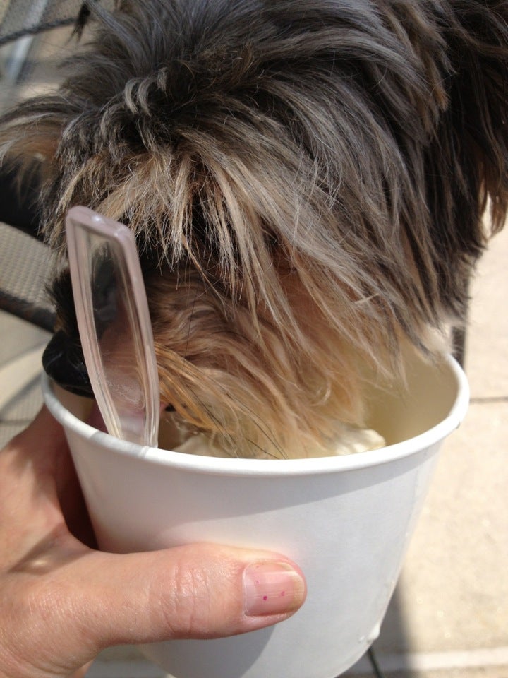 Oasis Frozen Yogurt, 133 N Twin Oaks Valley Rd, Ste 106, San Marcos, CA