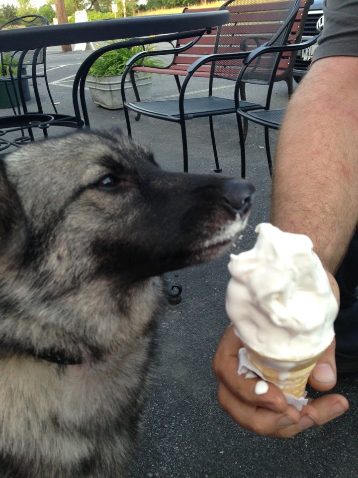 Middletown, VA Map & Directions MapQuest