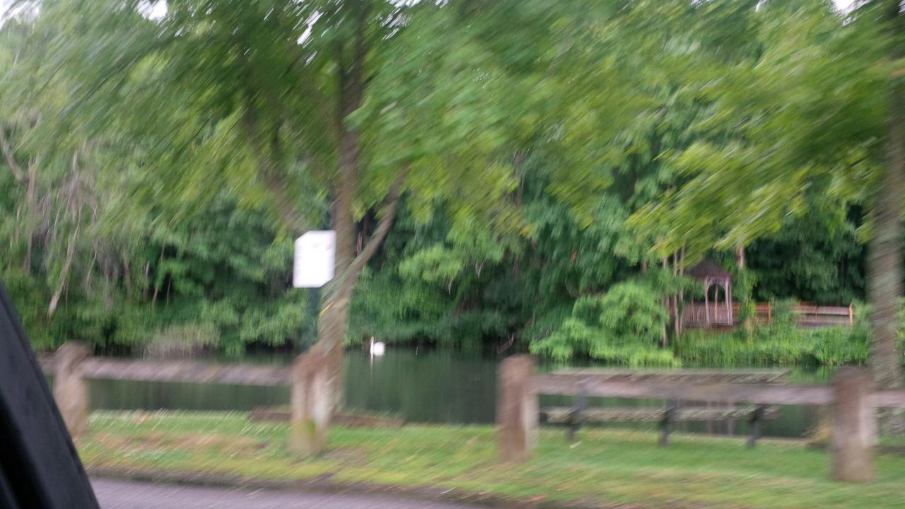 Wading River Duck Pond, N Country Rd, Riverhead, Town of, NY, Lake