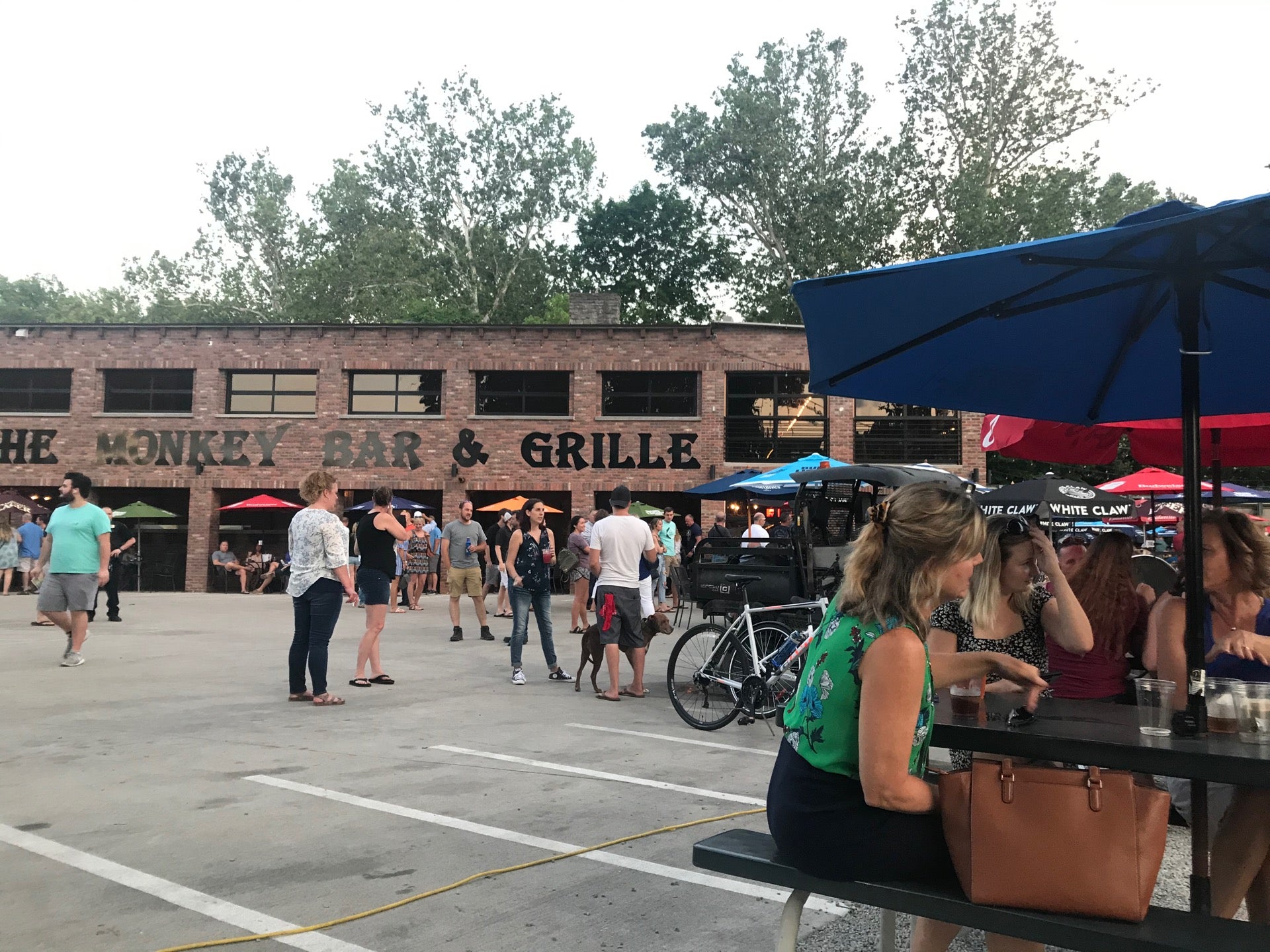 The Monkey Bar And Grille